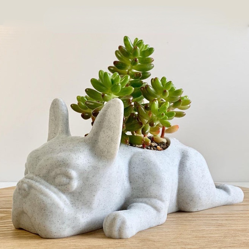 The Puppy Statue Planter Resin - Desk Setup Plant incelemesi ve fiyatı