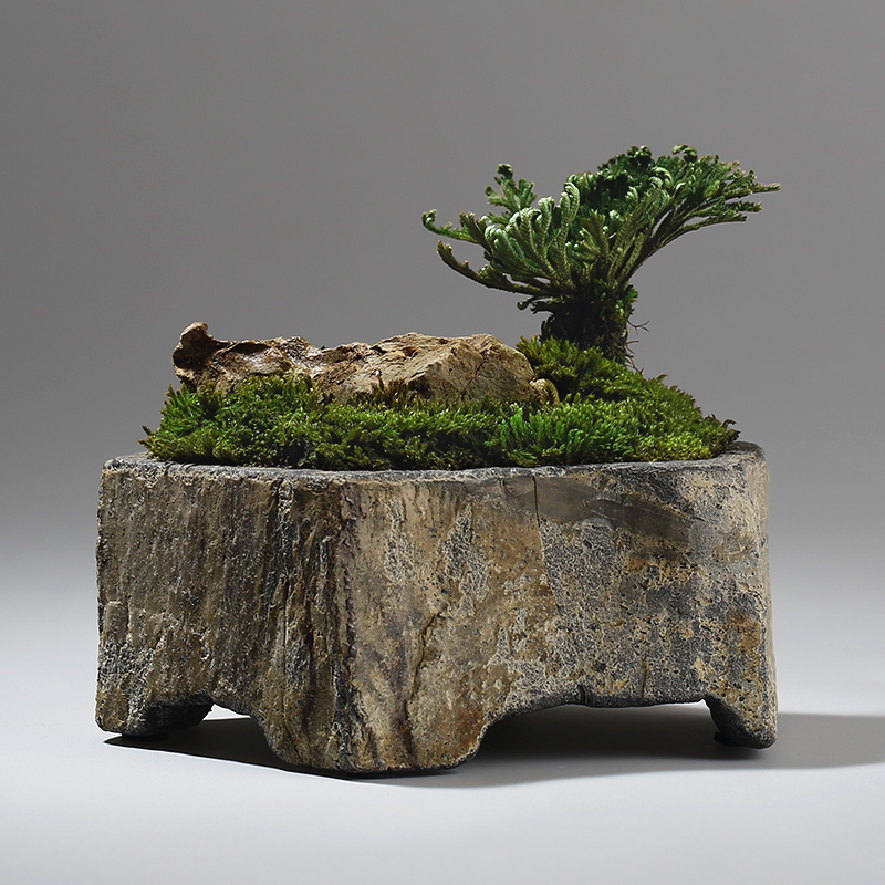 Basalt Natural Stone Flower Po - Desk Setup Plant incelemesi ve fiyatı