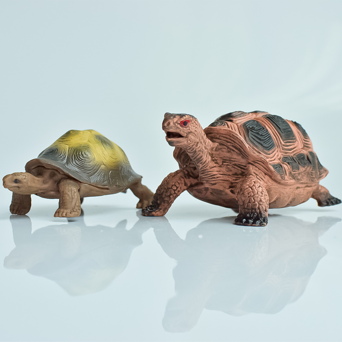 Painted Realistic Animal Turtl - Desk Setup Plant incelemesi ve fiyatı