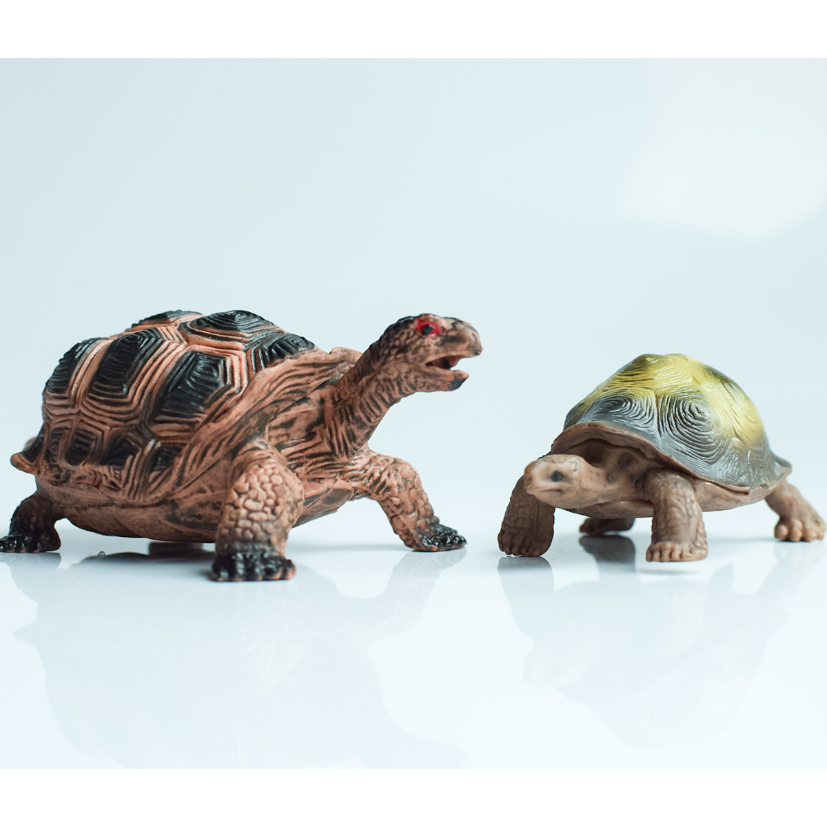 Painted Realistic Animal Turtl - Desk Setup Plant incelemesi ve fiyatı