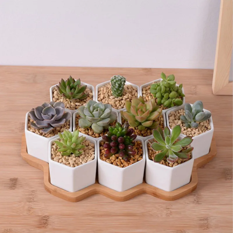 Set of 4/7/9/10 Hexagon Flower - Desk Setup White incelemesi ve fiyatı